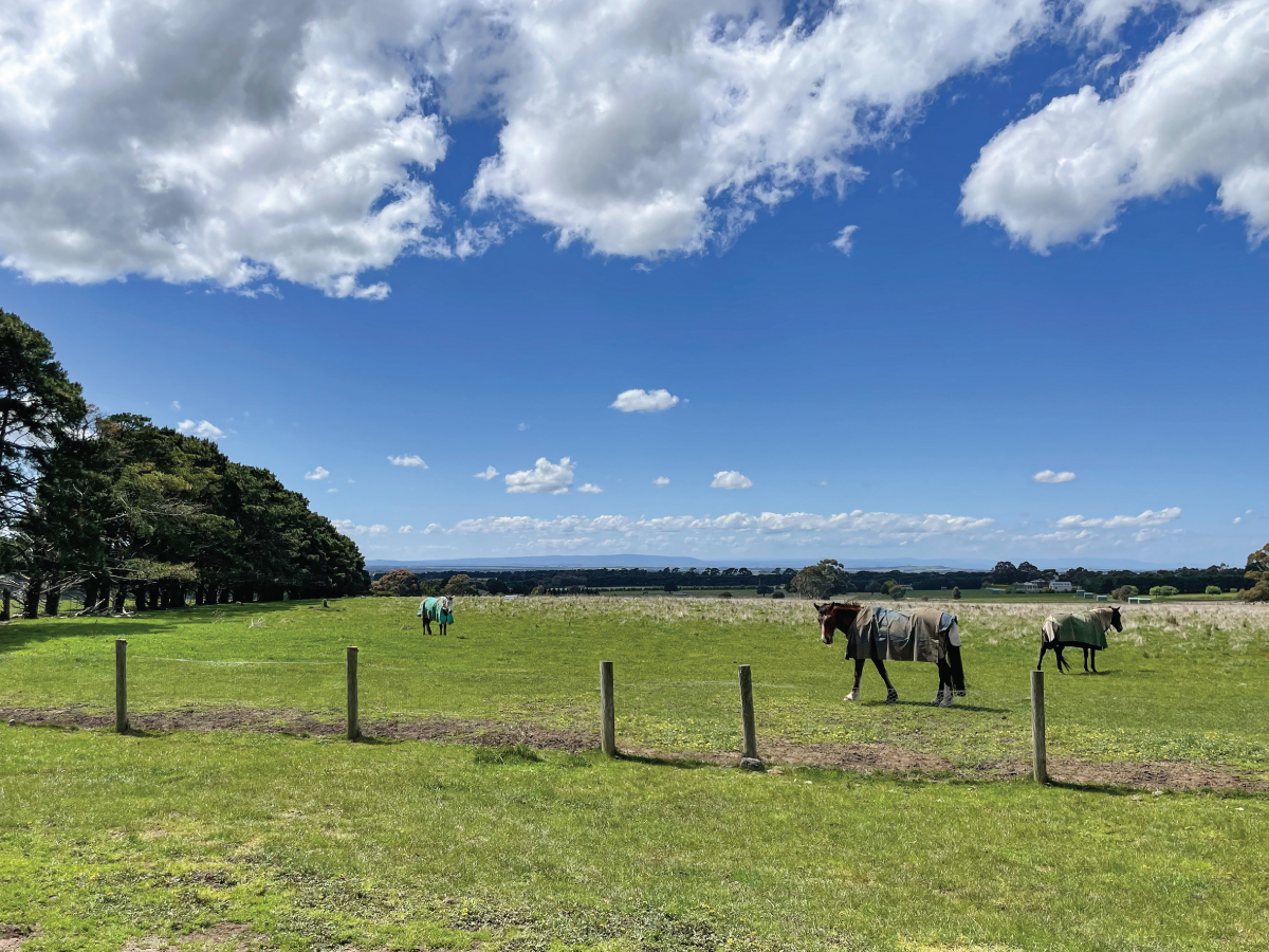 2 Campbell Road, Gisborne, VIC 3437