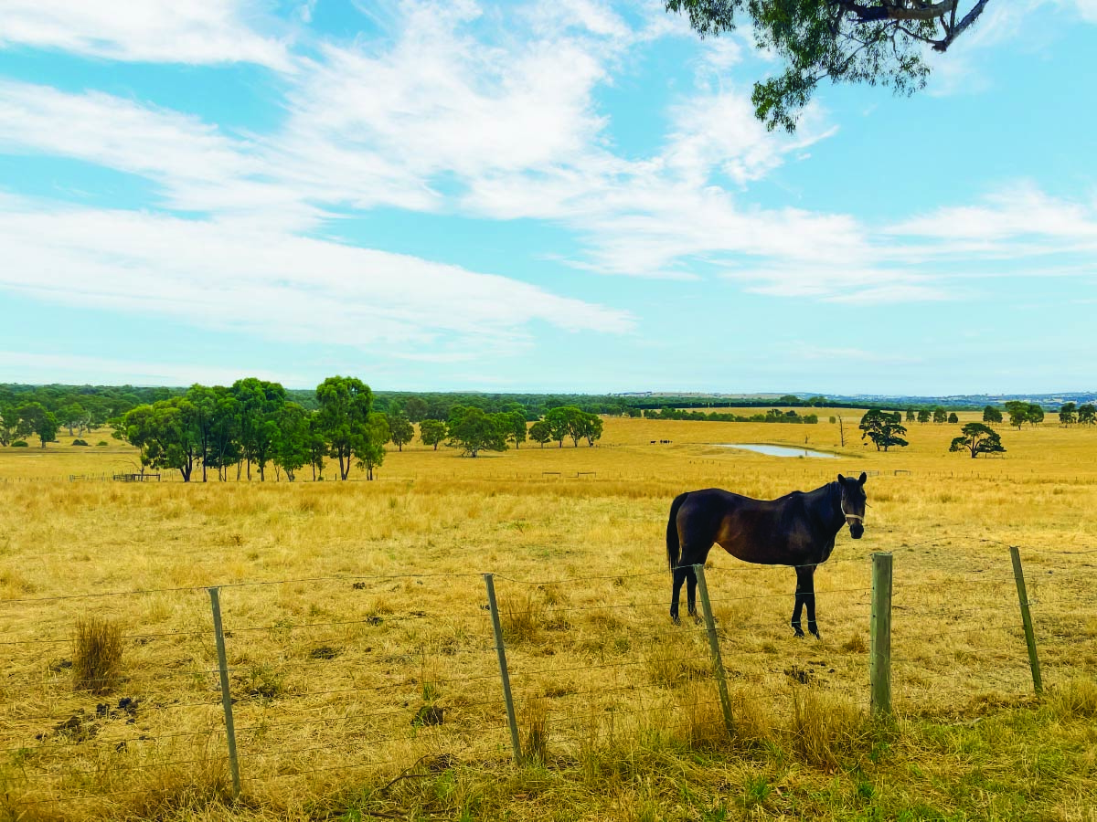 Yan Yean, VIC 3755 Australia